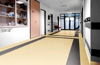 對比色PVC地板顏色搭配風格鮮明